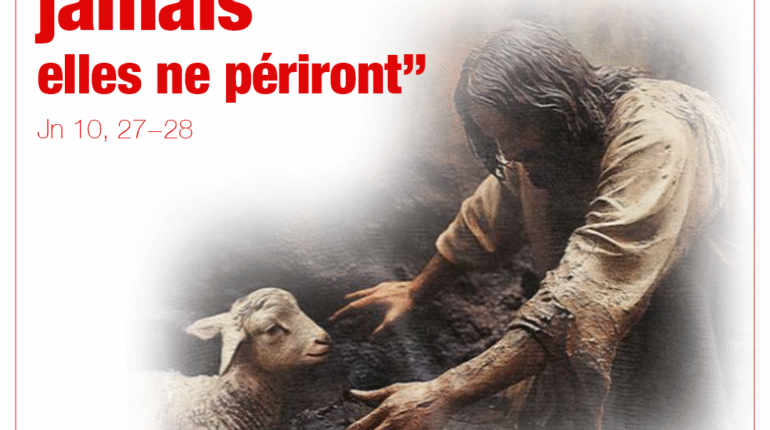‘’Mes brebis…jamais elles ne périront’’ Jn 10, 27−28
