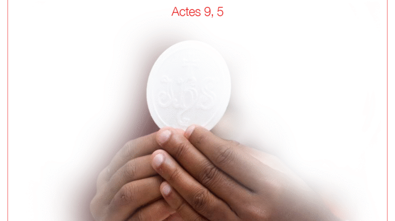 « … Qui es-tu Seigneur ? … » Actes 9, 5
