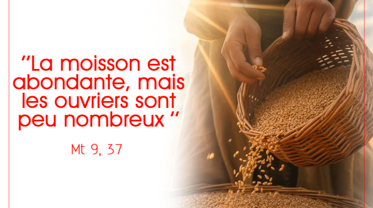 « La moisson est abondante, mais les ouvriers sont peu nombreux. » Mt 9, 37